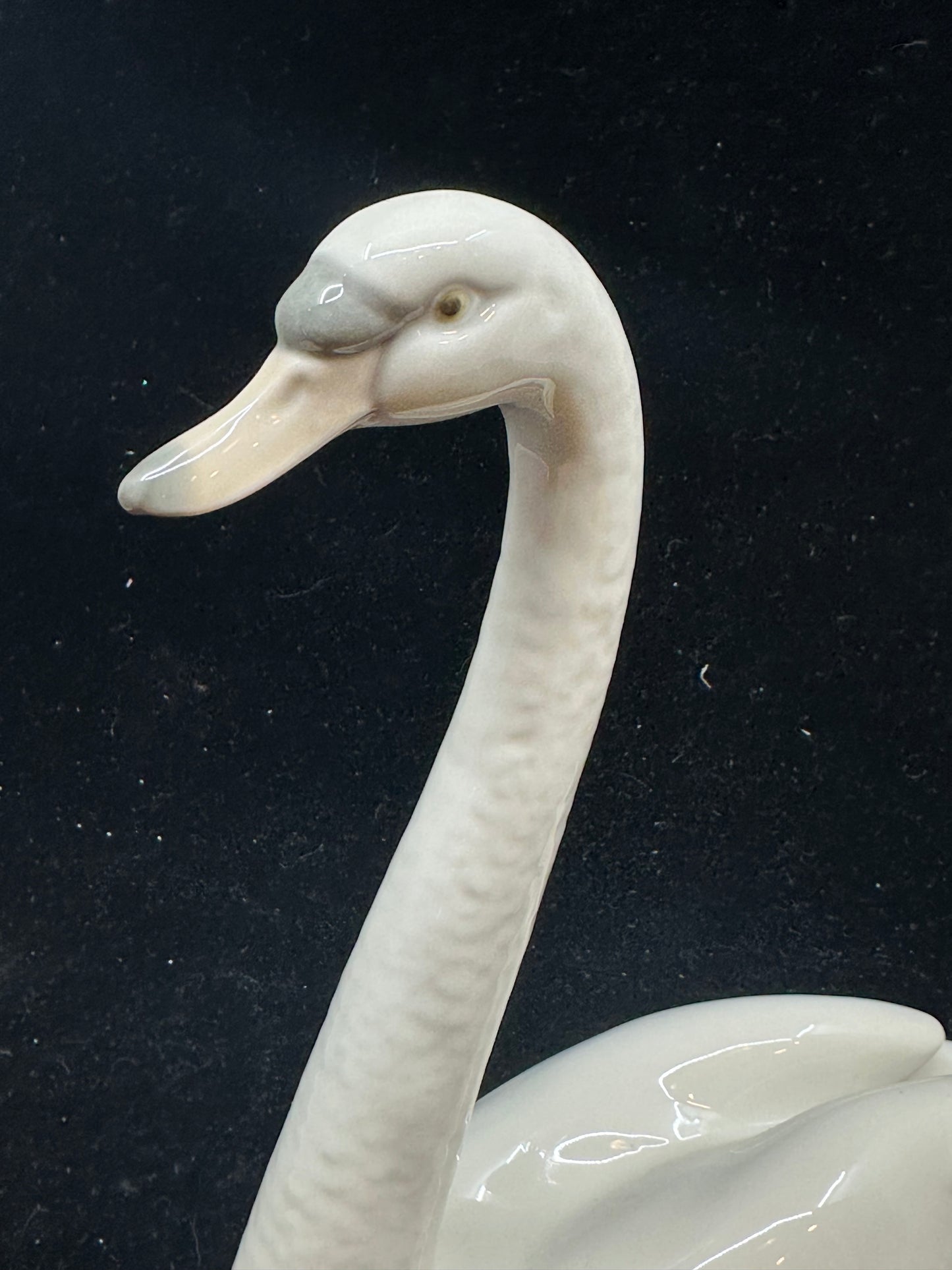 Lladro Graceful Swan #5230 (TY16ZL)