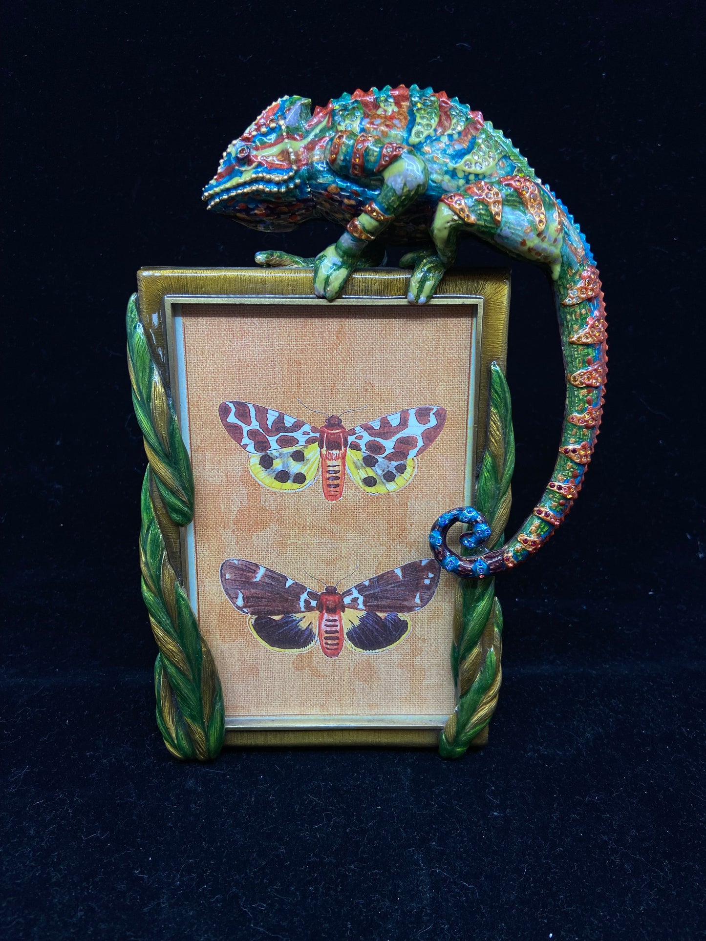 Jay Strongwater Chameleon Enameled Frame (CB4NHS)