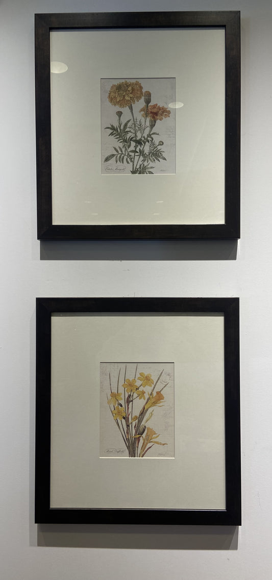 Decorative Arts Framed Pair of Botanical Prints (N3AQZ7)