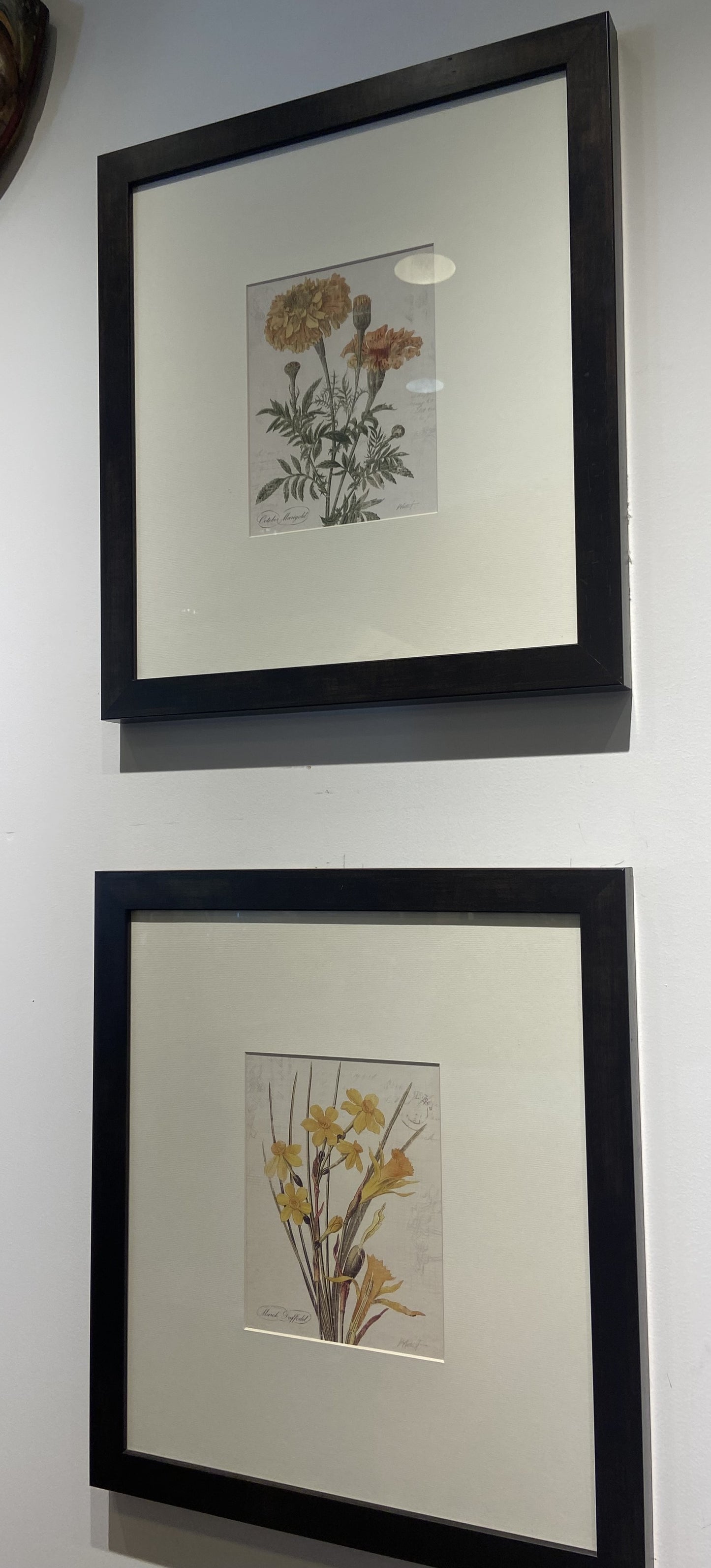 Decorative Arts Framed Pair of Botanical Prints (N3AQZ7)