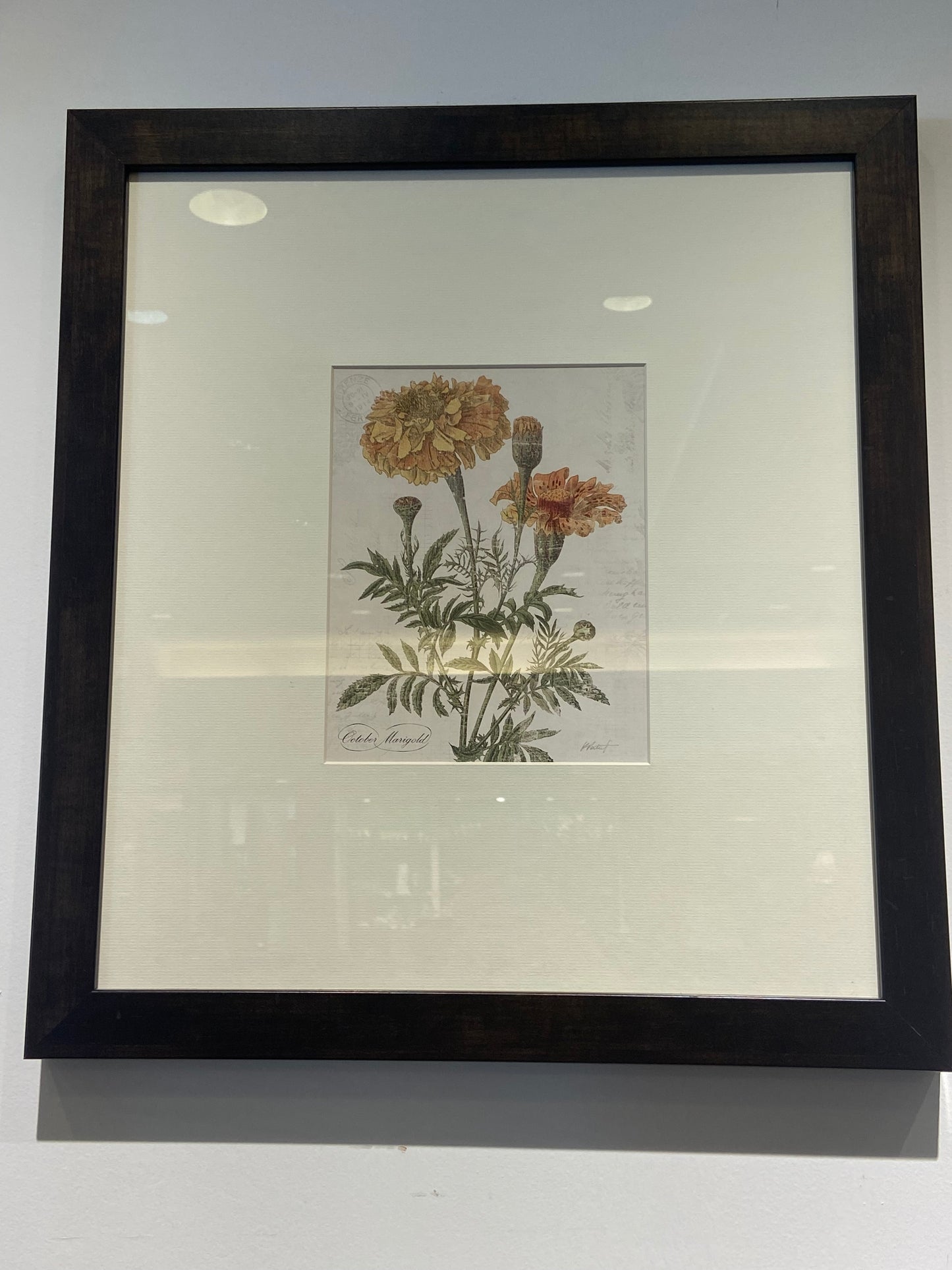 Decorative Arts Framed Pair of Botanical Prints (N3AQZ7)