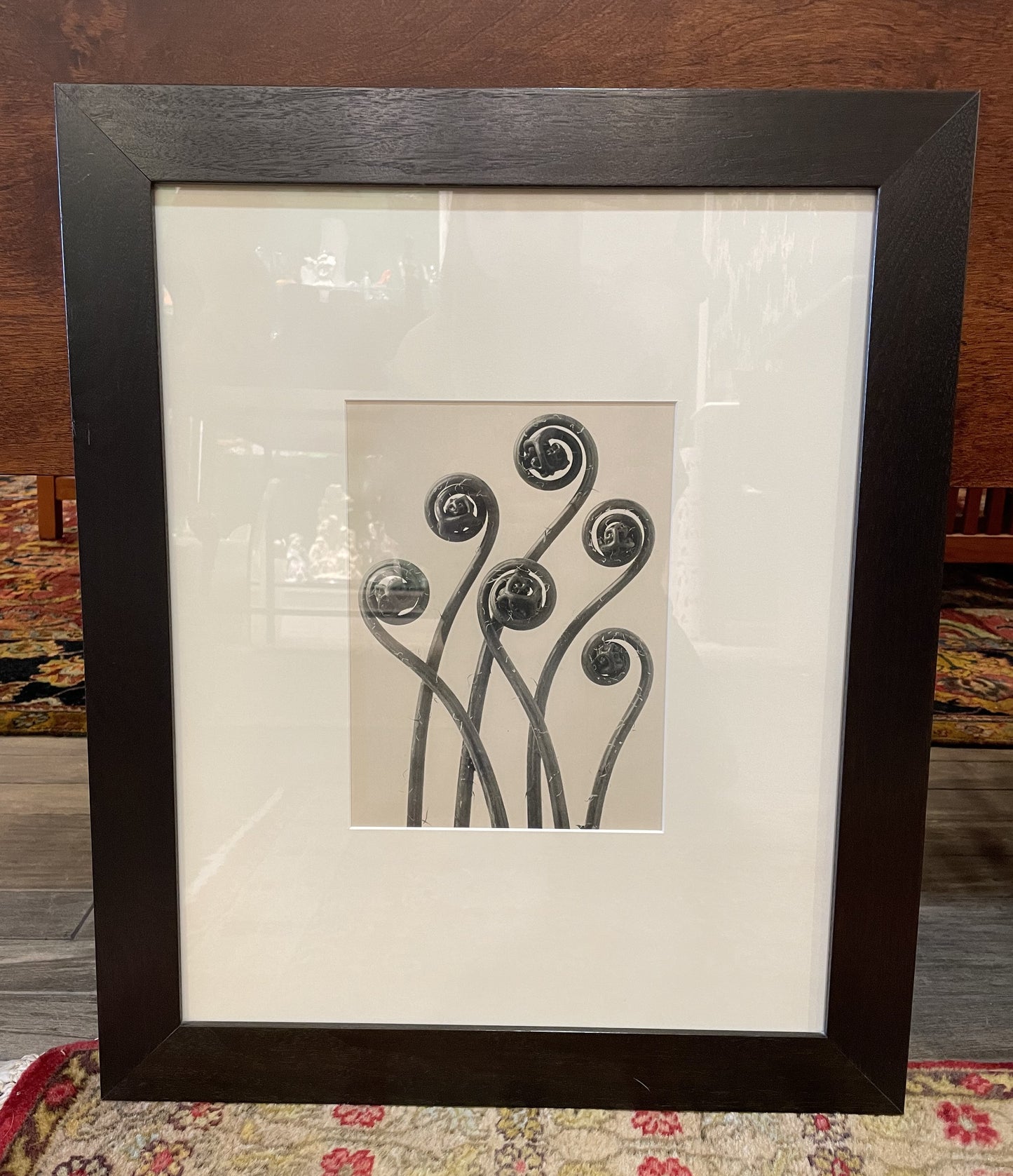 Framed Fern Prints 3 Piece Set (SVNNCL)