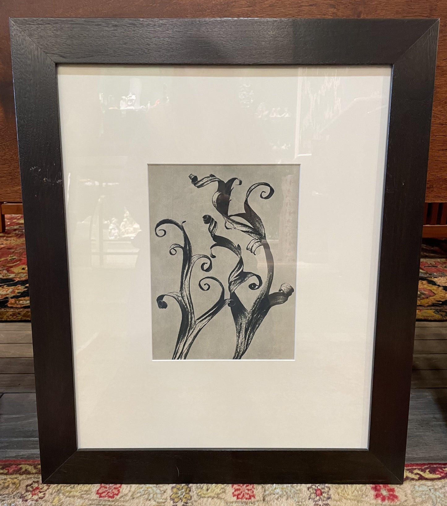 Framed Fern Prints 3 Piece Set (SVNNCL)