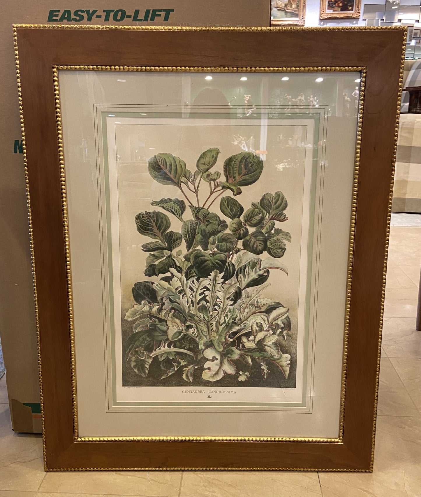 Sax Fifth Ave Botanical Art by F. Grobon AS IS (H8N3LK)