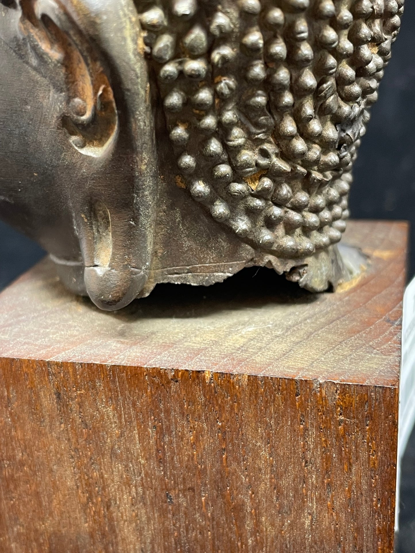 19th Century Buddha Head	(RV87FF)