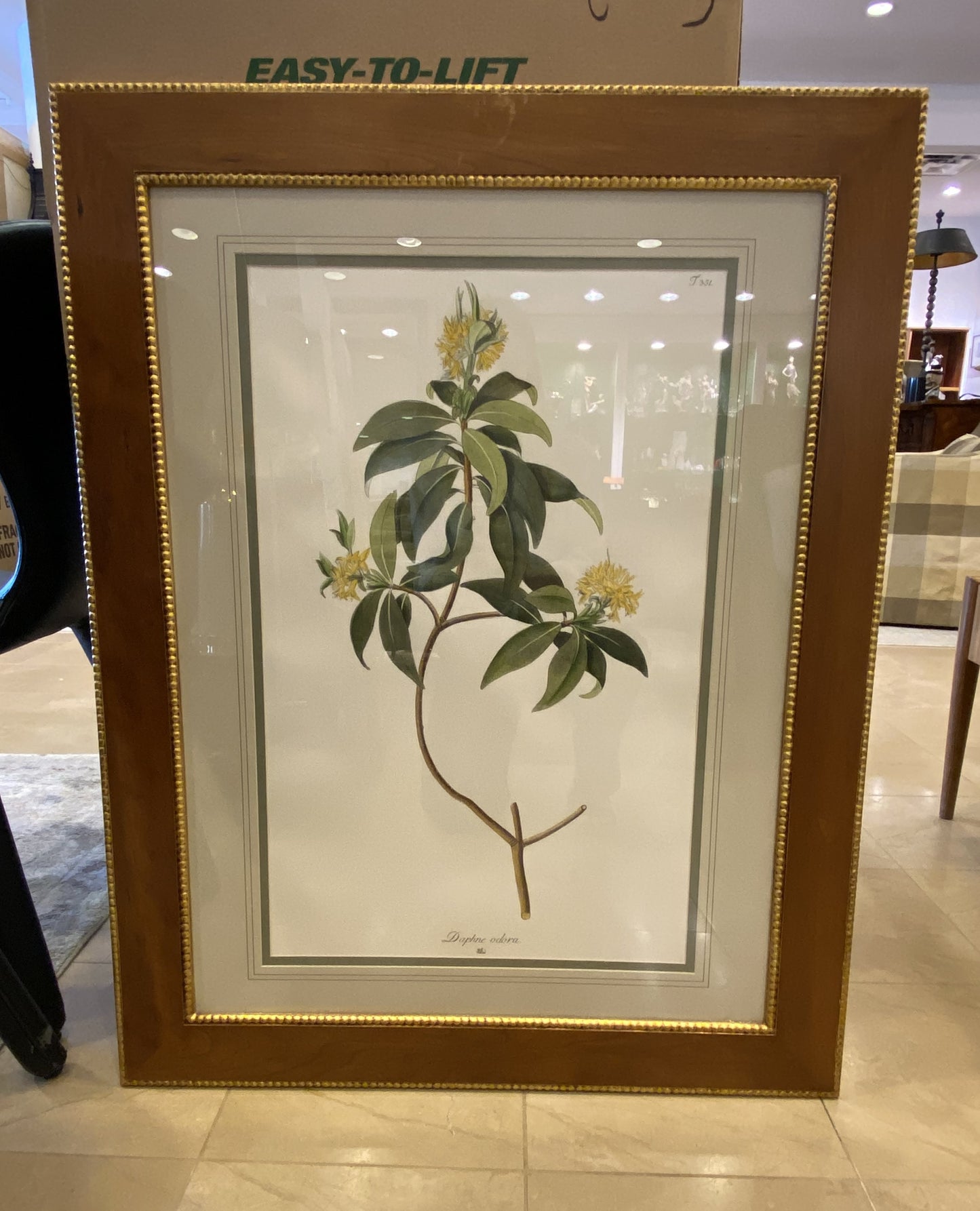 Sax Fifth Ave Botanical Art by F. Grobon AS IS (H8N3LK)