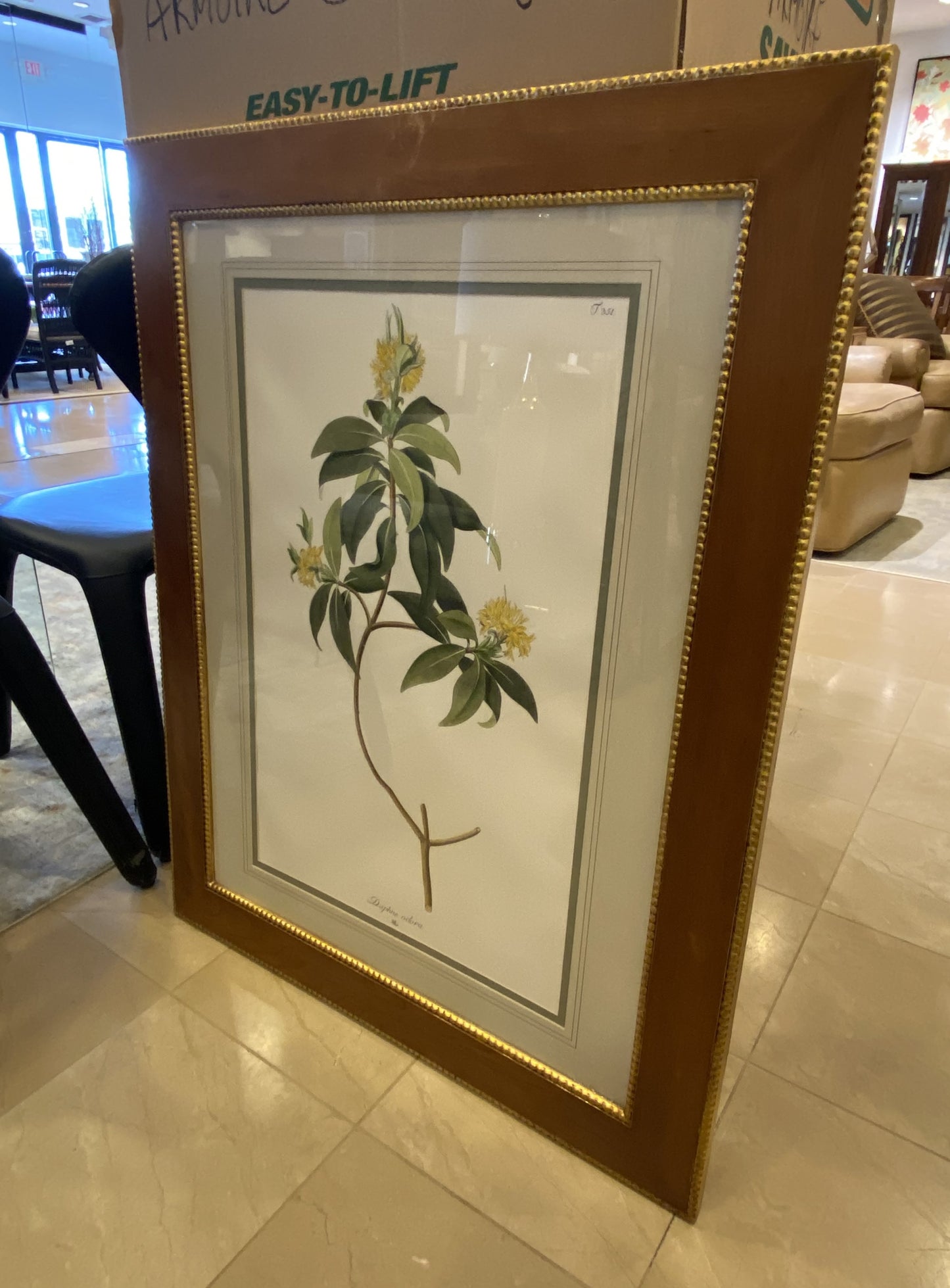 Sax Fifth Ave Botanical Art by F. Grobon AS IS (H8N3LK)