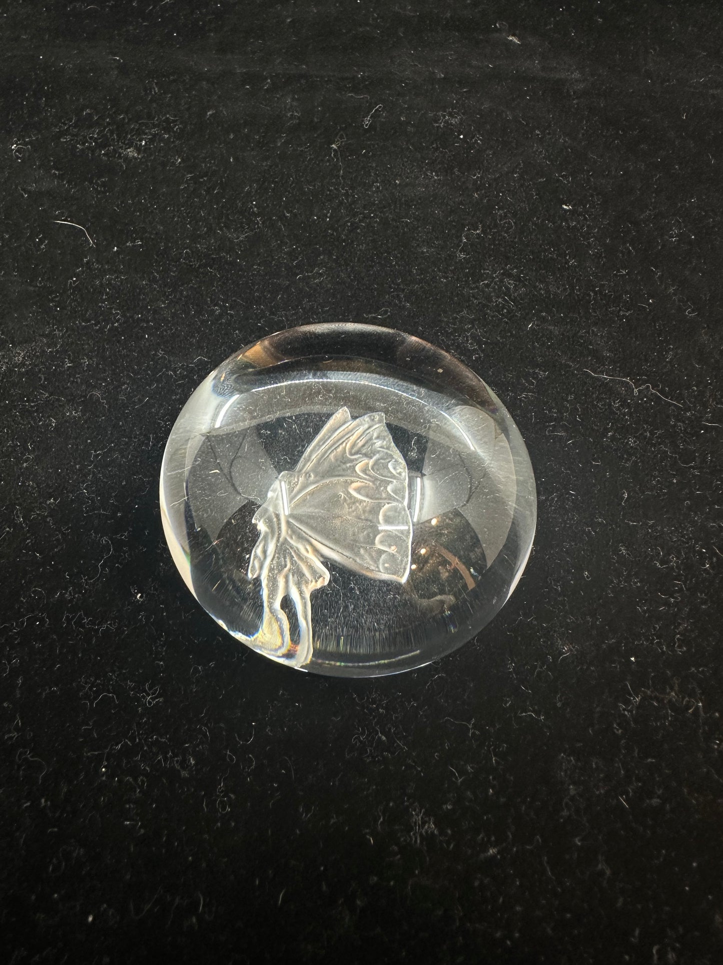 Lalique Fairy Etched Bubble Paperweight (H3CJ3W)