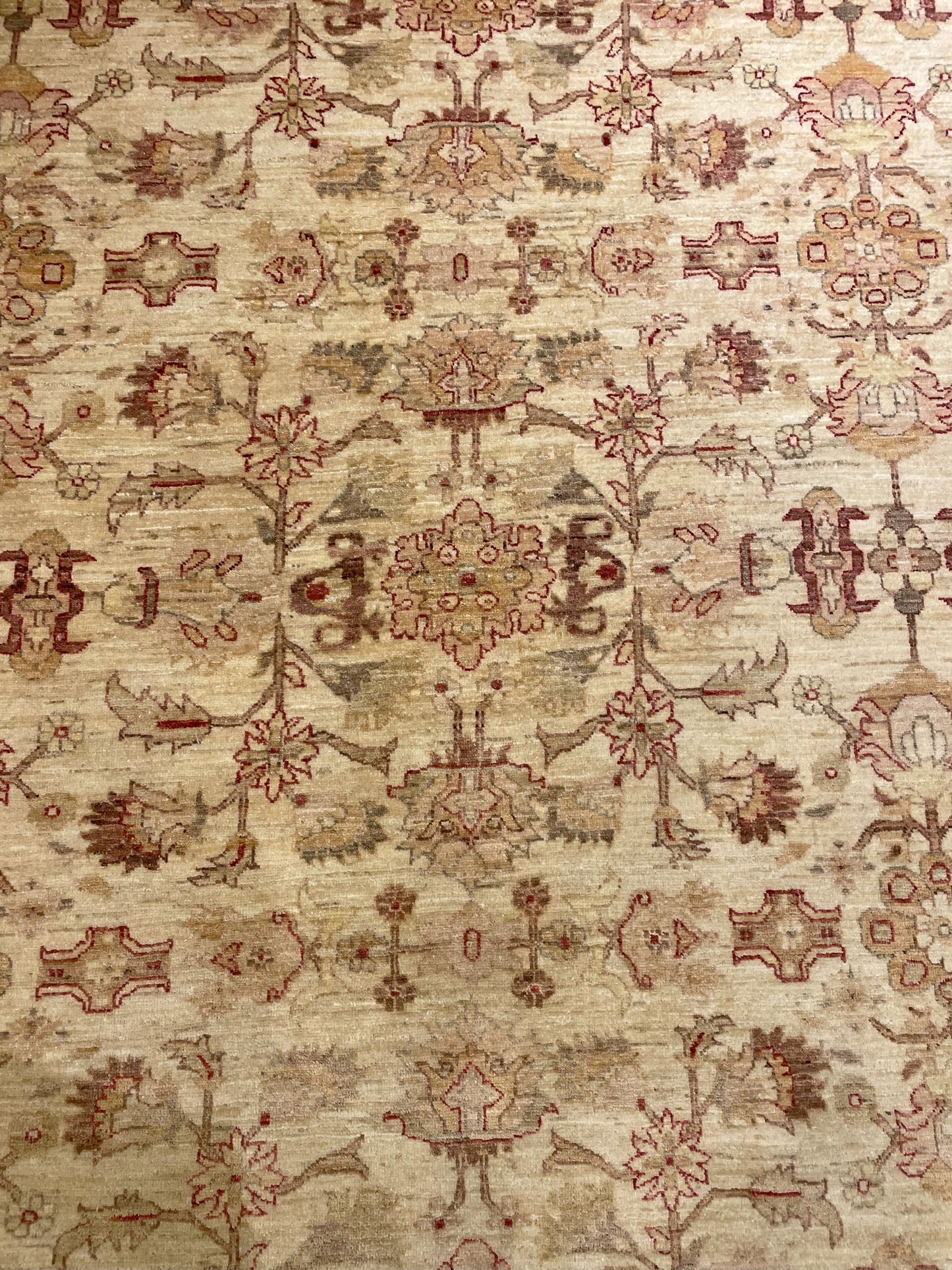 Hand Knotted Neutral Rug (7.9x11.9) (03H019)