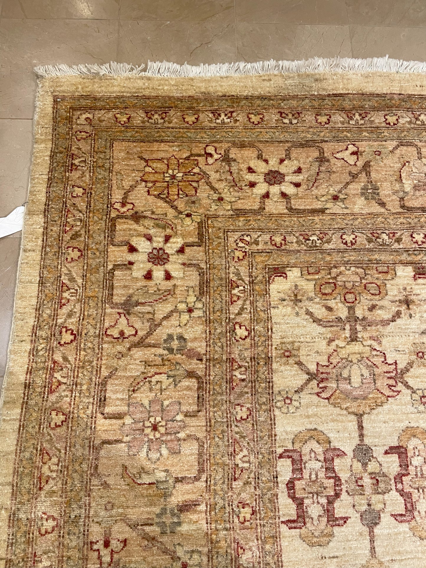 Hand Knotted Neutral Rug (7.9x11.9) (03H019)