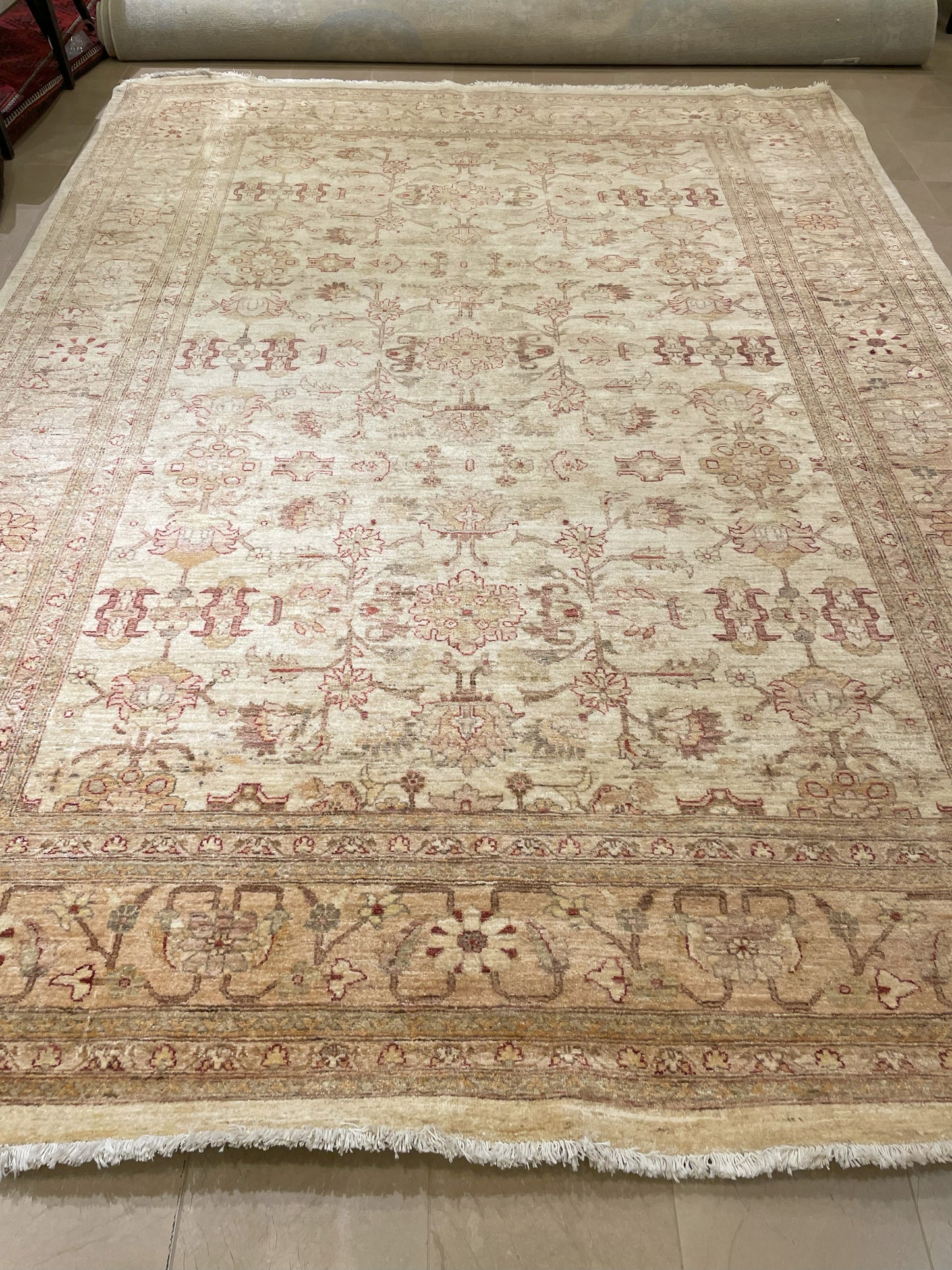 Hand Knotted Neutral Rug (7.9x11.9) (03H019)