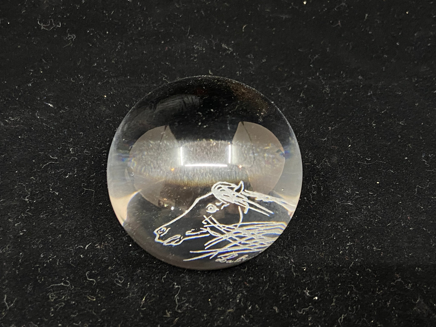 Lalique Horse Etched Bubble Paperweight (H3CJ3W)